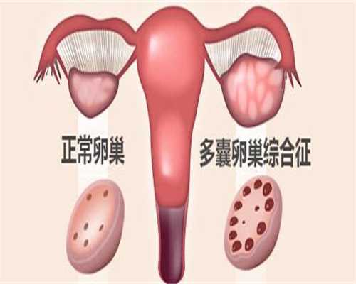 上海一妇婴可以做三代试管么？一次试管流程费用多少？