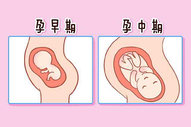 迈向成功备孕：专家详解，助您轻松达成生育目标